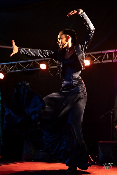 flamenco (100)